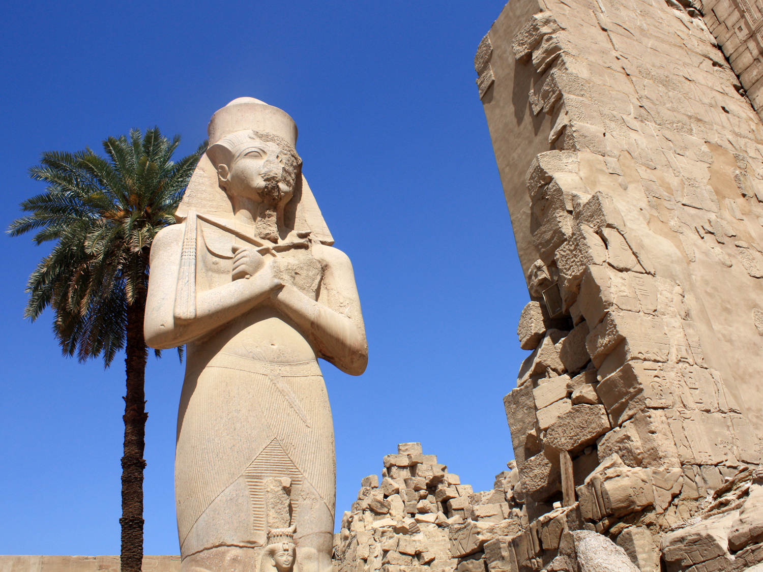 New Post Emergency Resources for Egypt