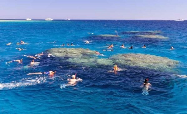 Snorkeling day trip