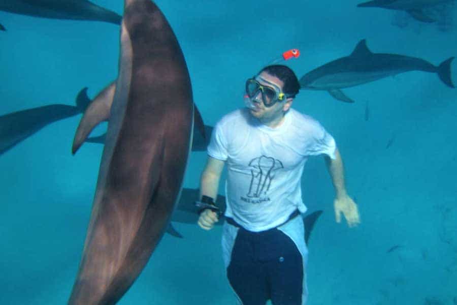 Swimming with Dolphins & Snorkeling Tour & Lunch