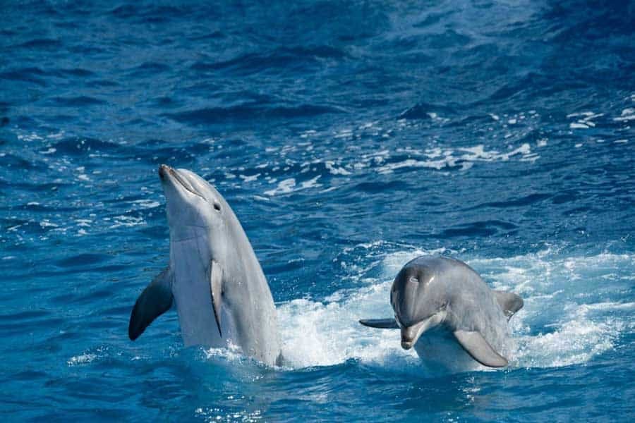 Departure from Hurghada