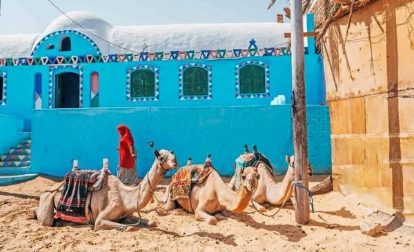 Nile Cruise - 3 Nights/ 4 Days - Aswan to Luxor